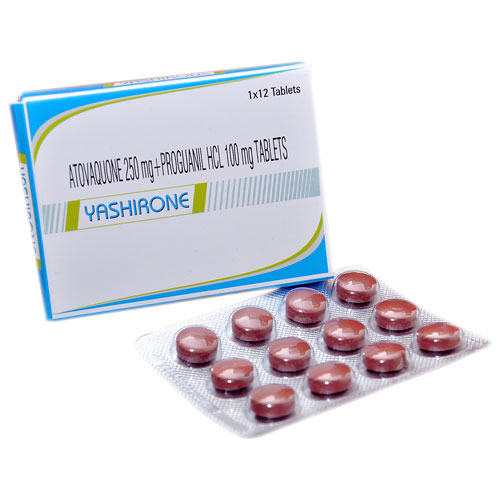 Atovaquone Tablets